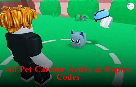 pet catchers codes|pet catcher codes for roblox.